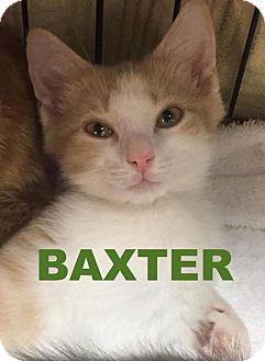 4Baxter (18914985)