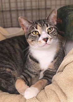 Abby (20729681)