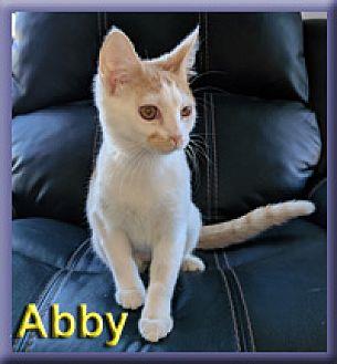 Abby (20744124)