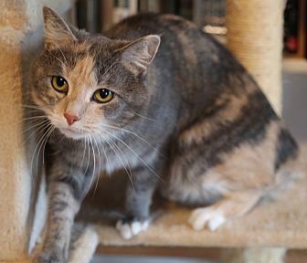 Abby (20875588)