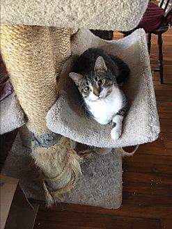 Addie (20787555)