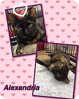 Alexandria (16398081)