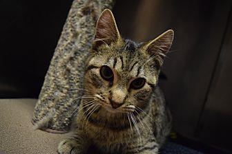 Alvin (20922346)