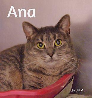 Ana (20789921)