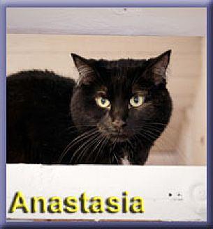Anastasia (20744115)