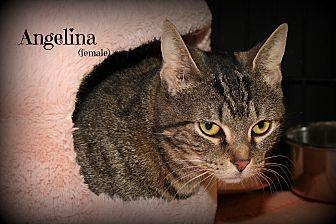 Angelina (20476960)