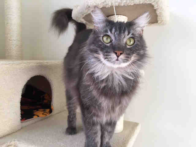 ANNIE (A1069860)
