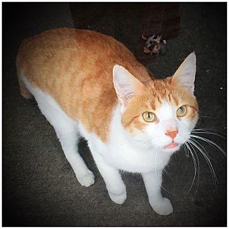 Archibald (20409339)