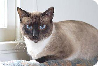 Artemis (17303429)
