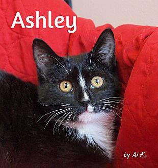 Ashley (21027294)