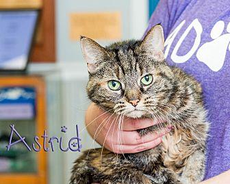 Astrid (20931609)