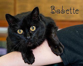 Babette (20875984)