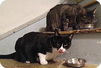 Baby & Beebe (15098479)