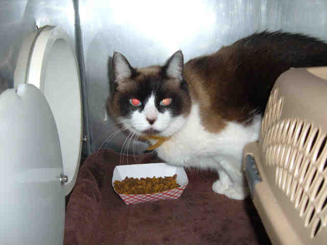 BANDY (A159133)