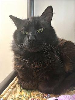 Barry (21057577)