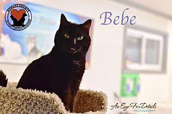 Bebe (18142976)