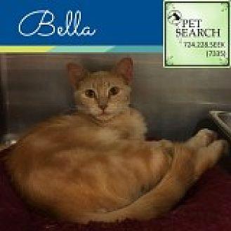 Bella (20622593)