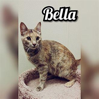 Bella (21113650)