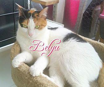 Belya (Egypt (18956382)