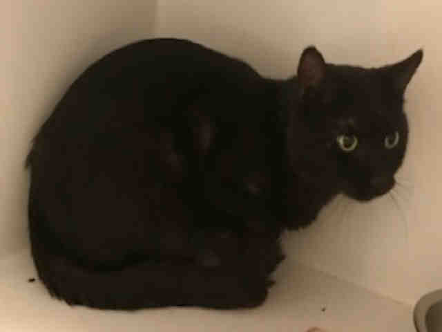 BEN (A007356)