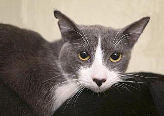 Benny (19712580)