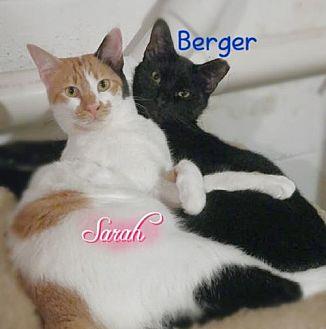 Berger (18477386)