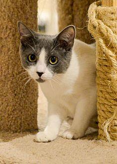 Bernadette (20824676)