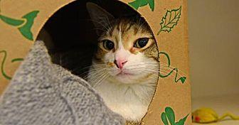 Bettie (21022272)