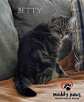 Betty (21033698)