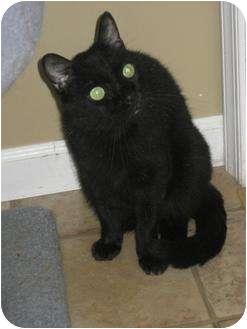 Bijou (6088457)