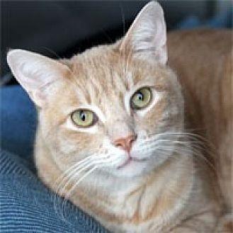 Billy (13625524)