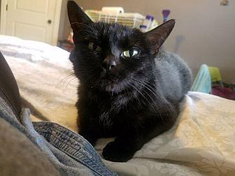 Binx (20954615)
