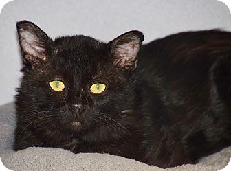 Blackie (18310200)