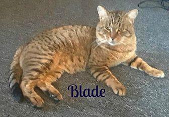 Blade (20632212)