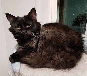 Blake (19046177)