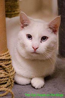 Bonnie (21070351)