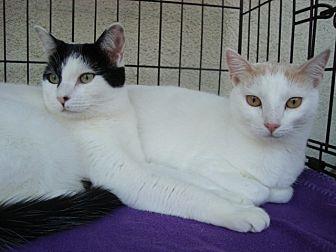 Bonnie and E (12663703)