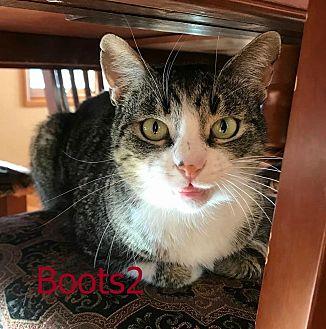 Boots2 (20590176)