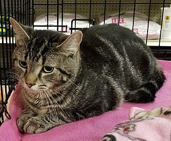 Bubba (21043284)