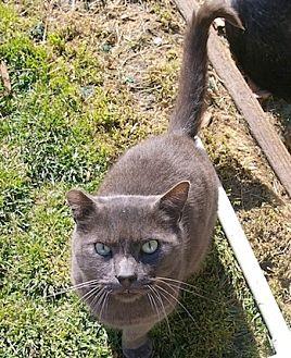 BUDDY (19648614)