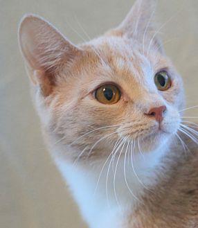 Buffy (21060945)