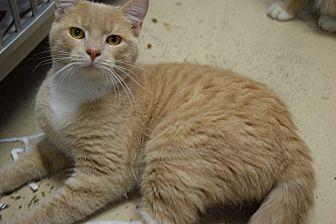 Buster (15935064)