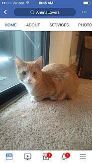 Buster (20931805)