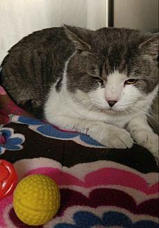 Buster (20949066)