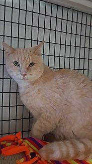 Butters (16916212)