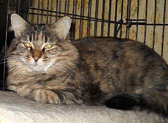 CA – Winnie (17474344)