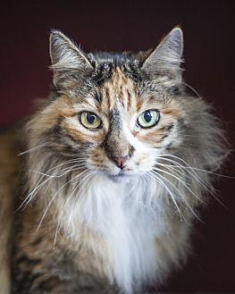 Camille (20834692)