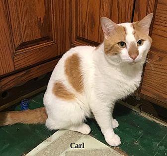 Carl (19102049)