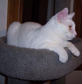 Casper (13463301)