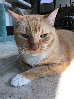 Charlie (19302643)